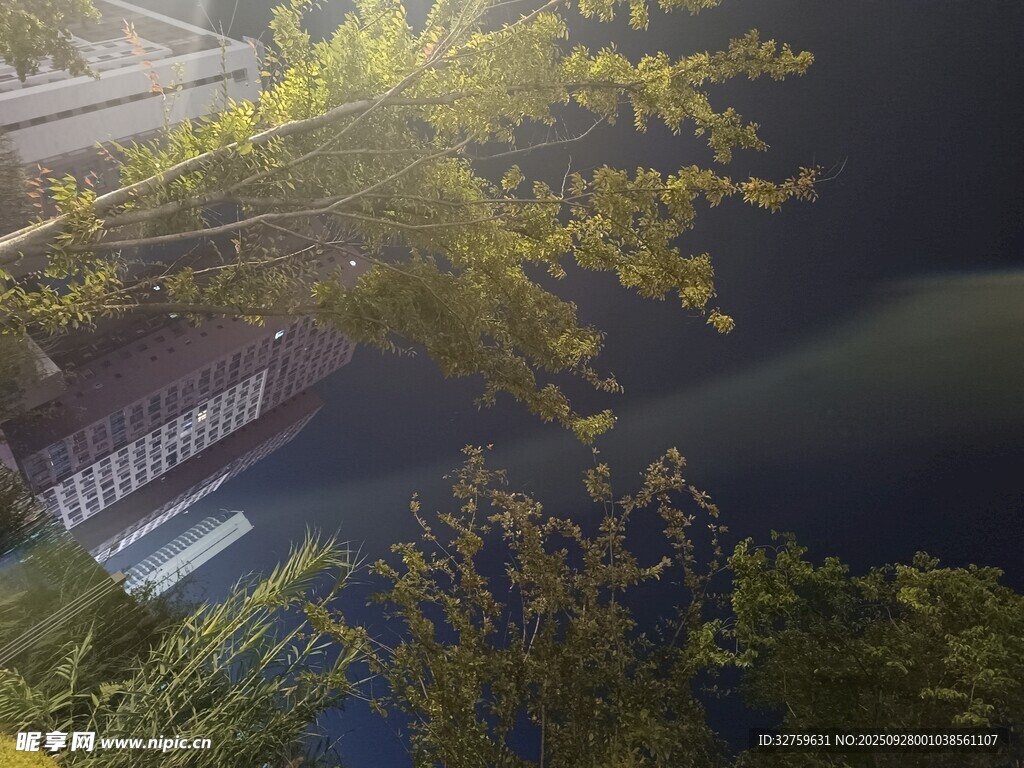 河畔绿植环绕的静谧建筑