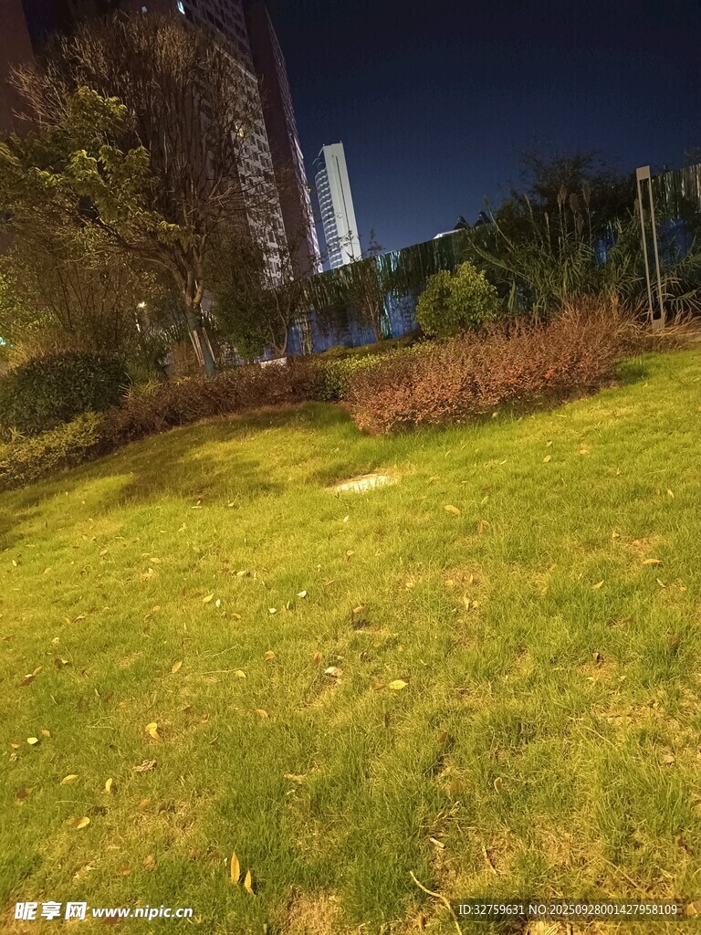 夜晚草地景观