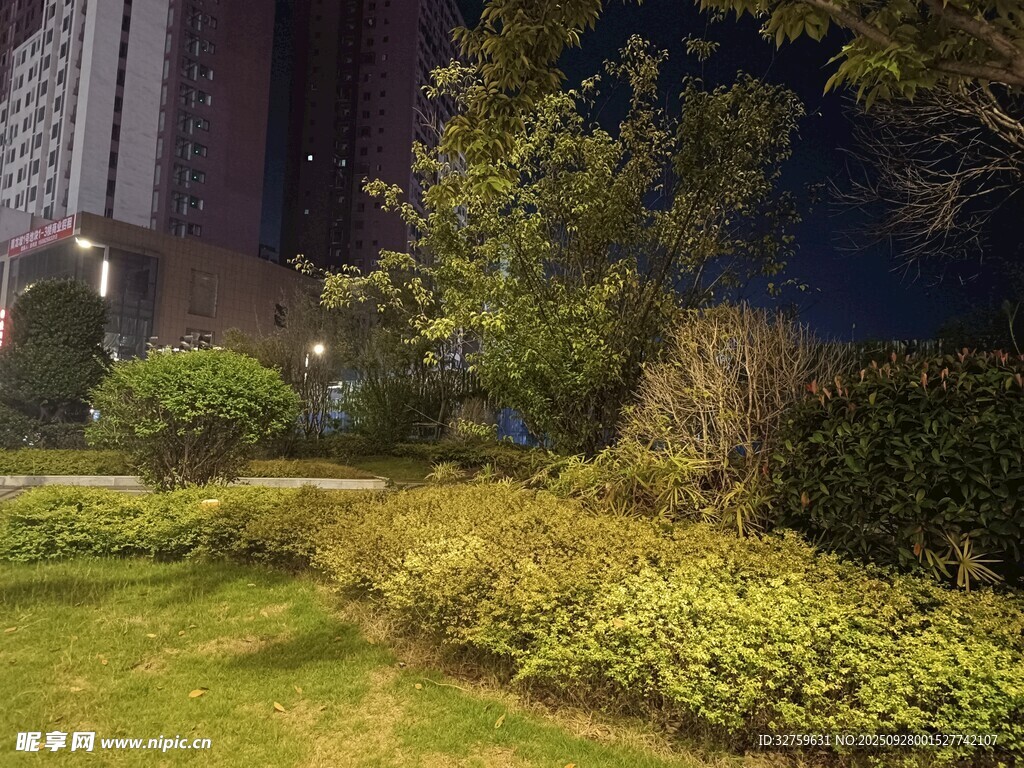 夜晚小区绿植景观