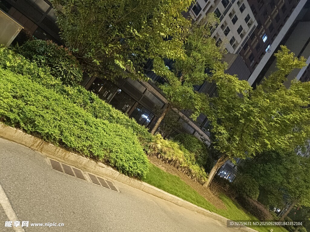 城市道路旁的绿植景观