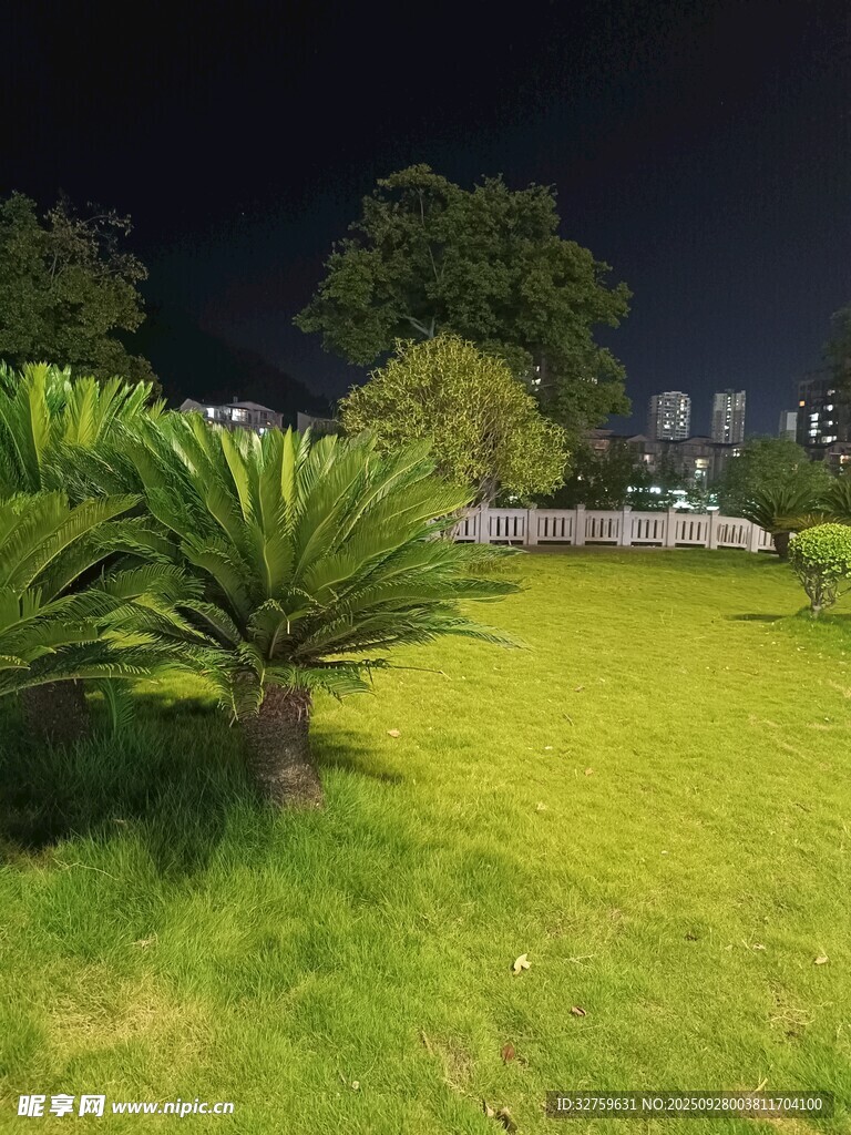 夜晚绿地景观