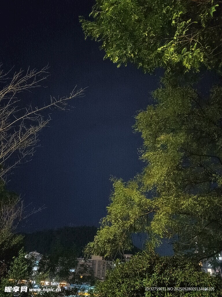 夜幕下的绿树与远处景致