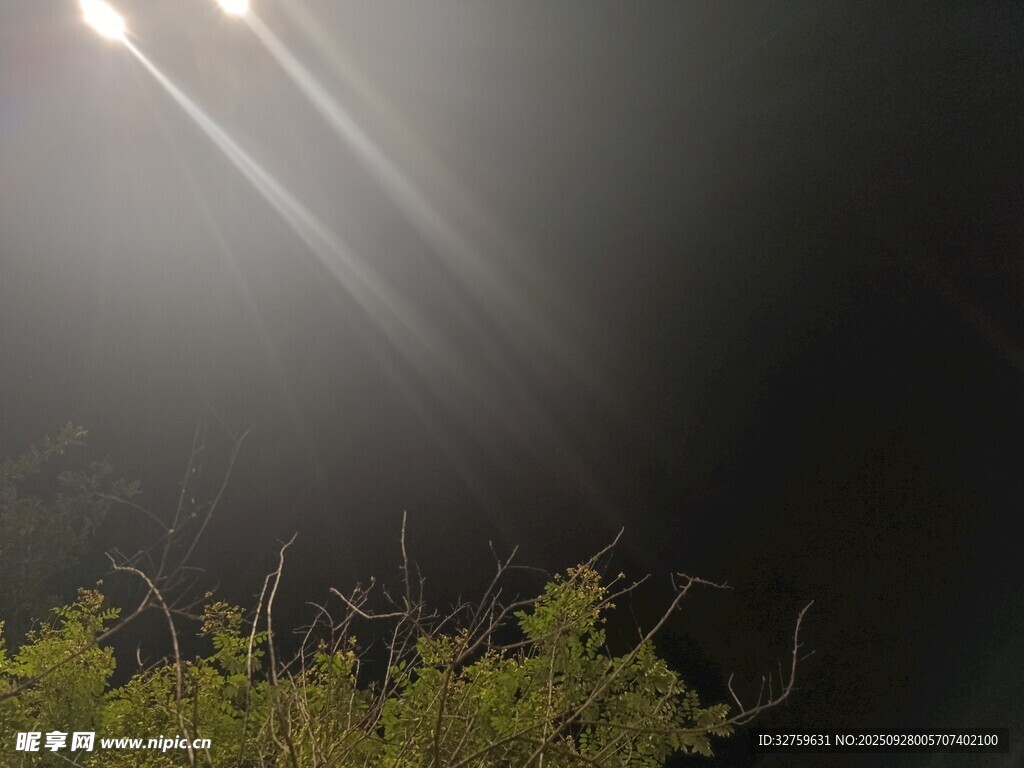 黑夜中穿透的光束与绿植