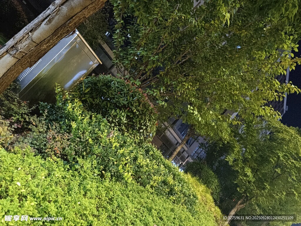 绿意盎然的庭院一角