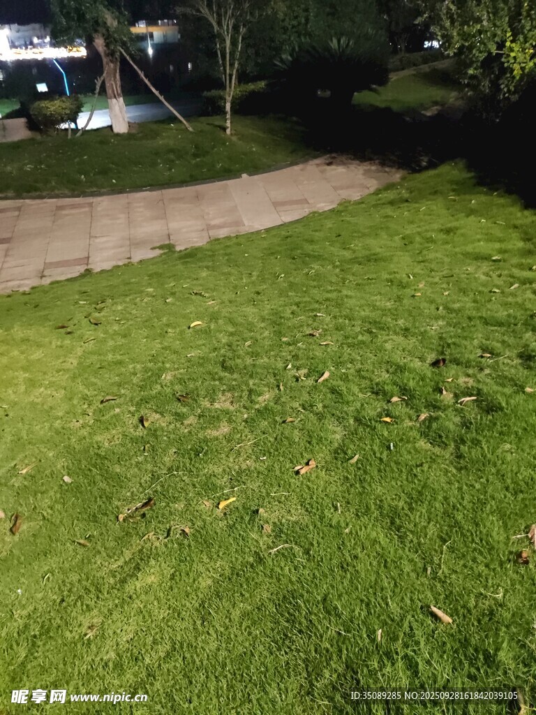 绿意盎然的户外草坪小径