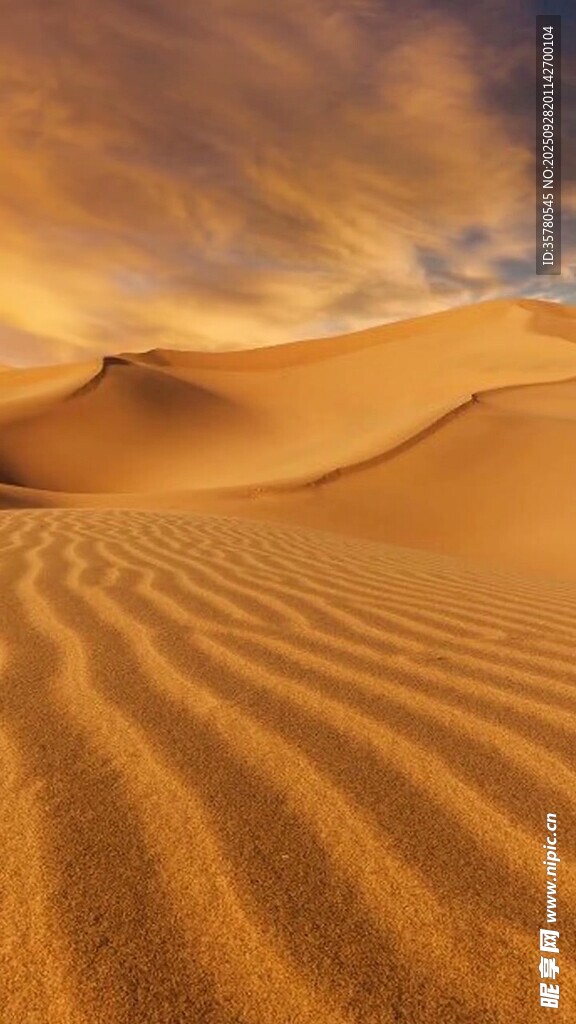壮丽沙漠风光