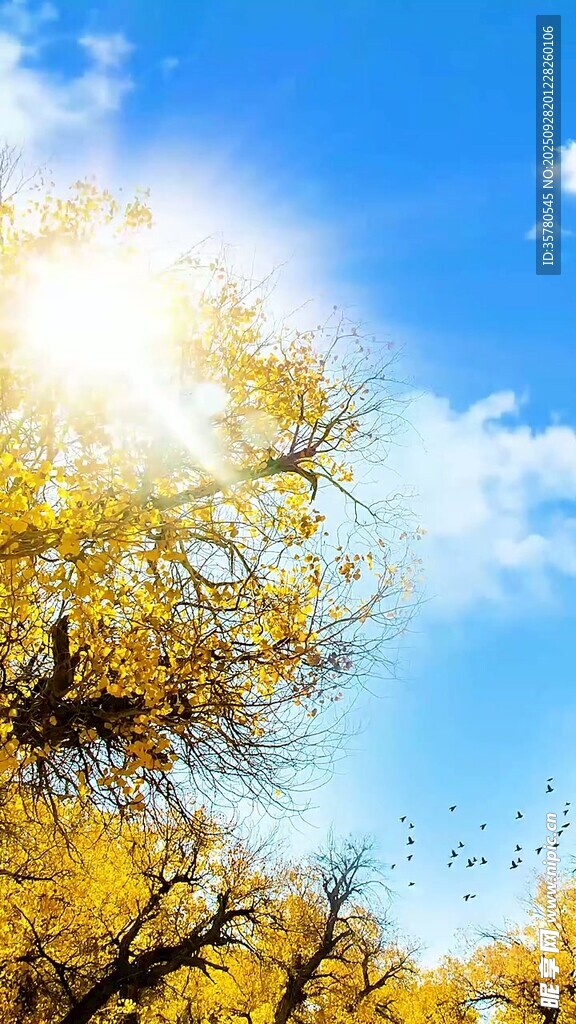 山水自然风景视频素材