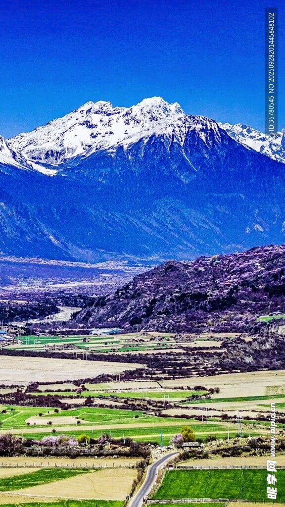 壮丽雪山下的广袤田园风光