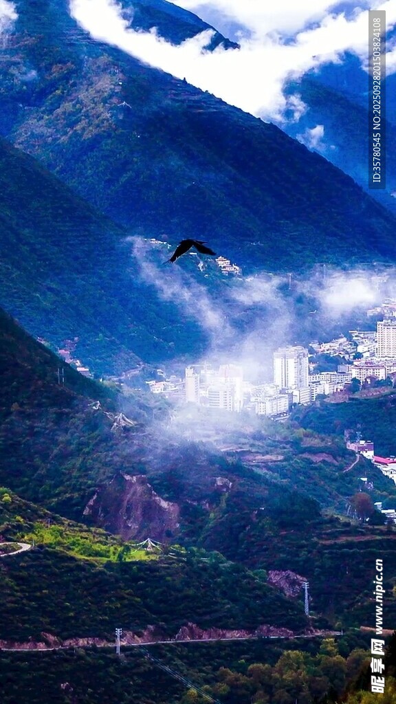 高山云海间的翱翔美景