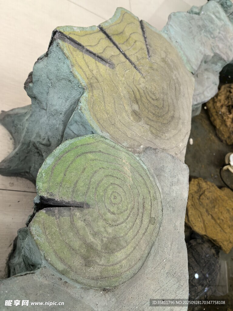 多彩树桩切片艺术展示