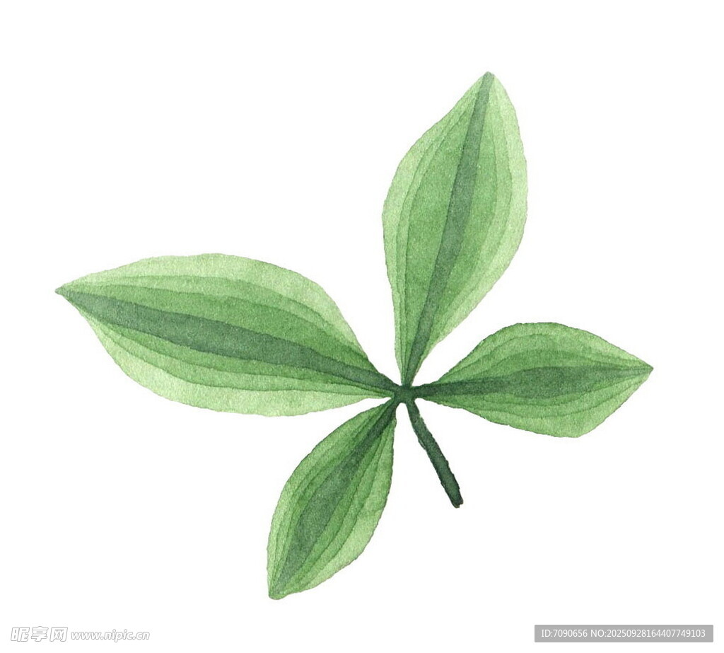 手绘四叶草叶片