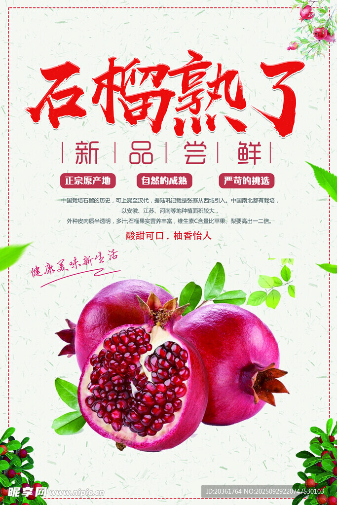 石榴海报