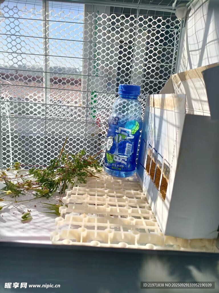 窗边蓝瓶与绿植景致