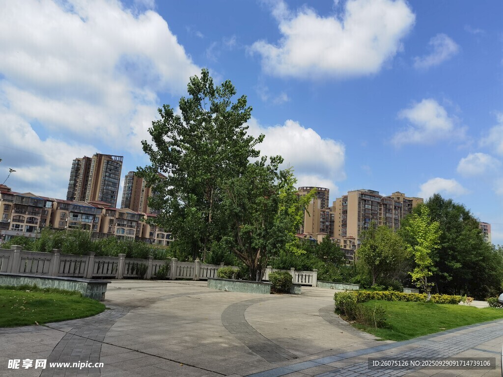 城市中的开阔绿化景观