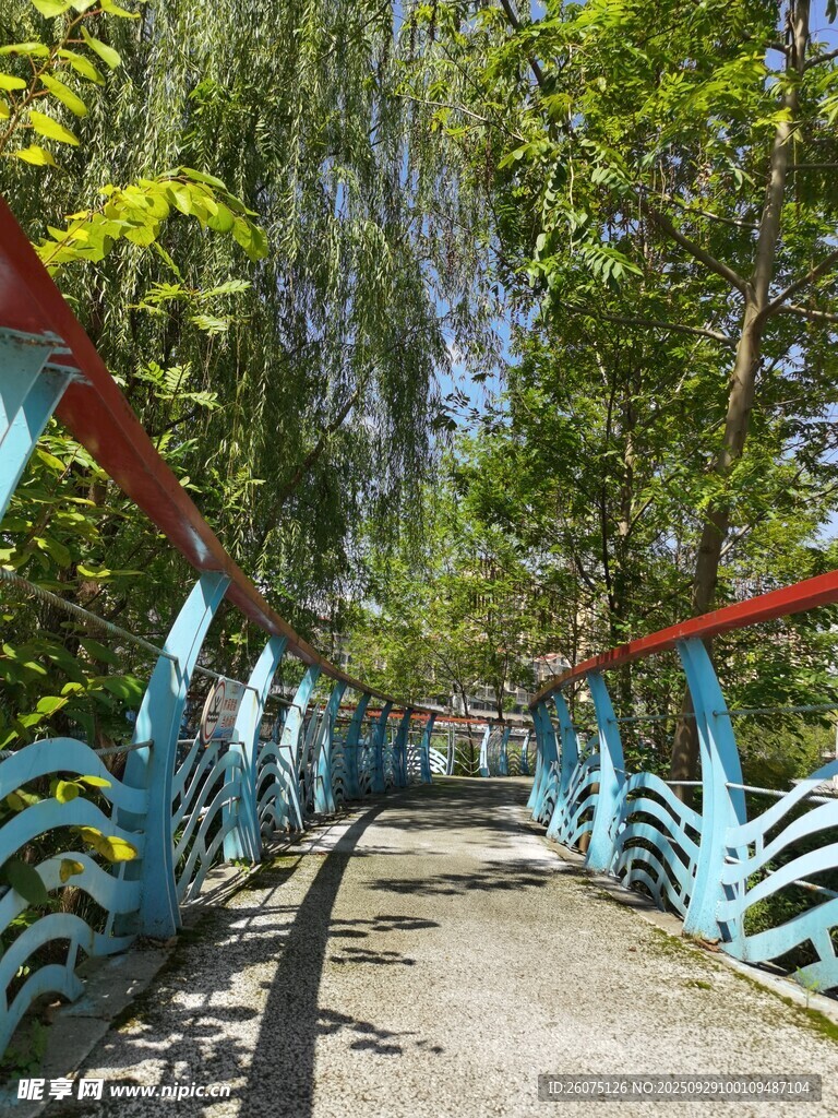 蓝红围栏间的林荫小道