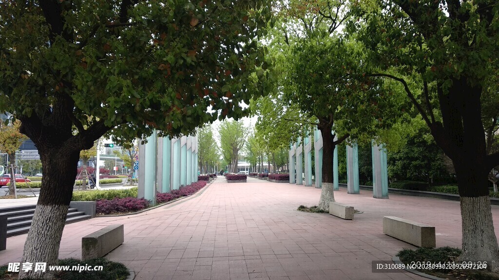 林荫步道的静谧休闲空间