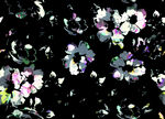 黑色底绚丽花卉图案
