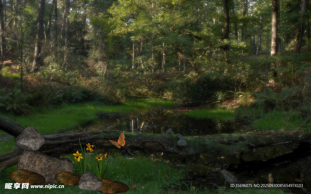 森林中的静谧溪流与花草