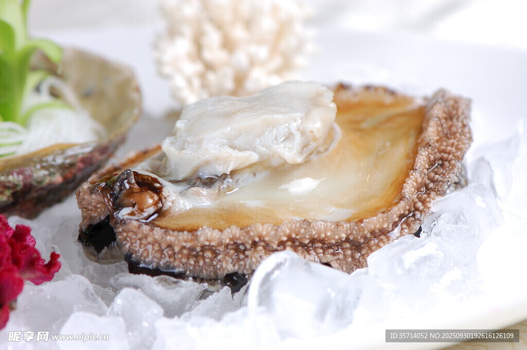 新鲜生蚝冰上美味佳肴