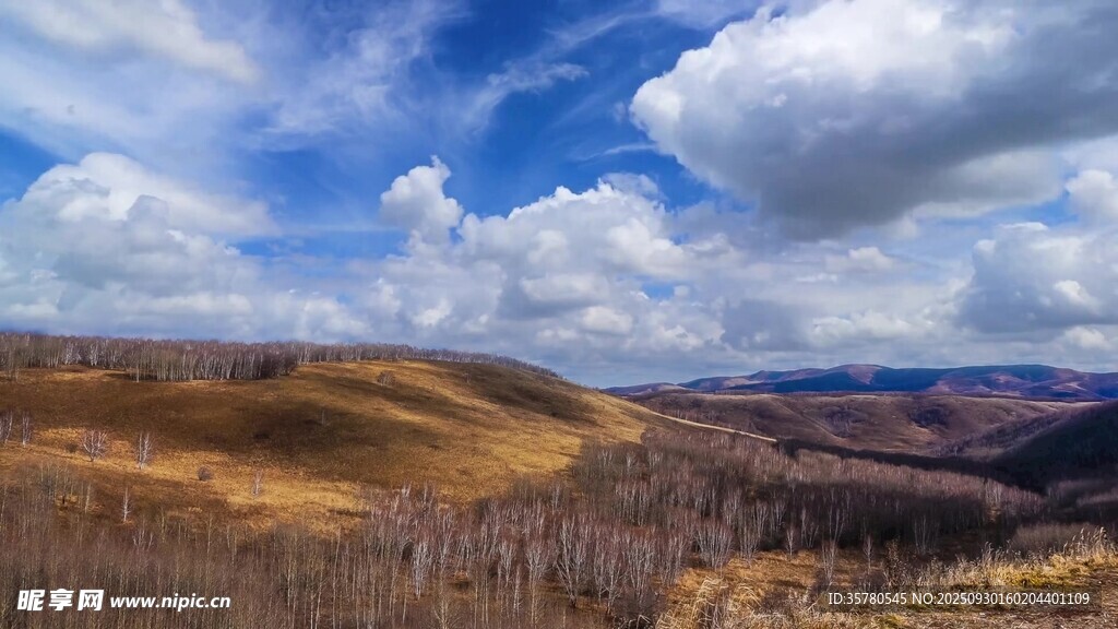 内蒙古大草原视频素材