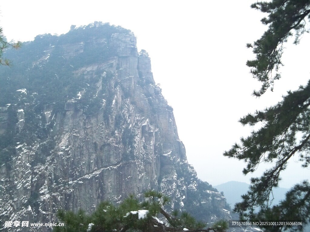 巍峨山峰与翠绿树木景观