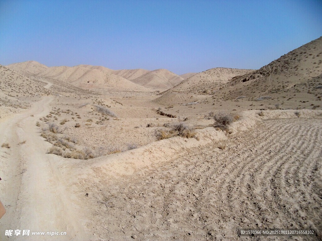 沙漠中的农田痕迹
