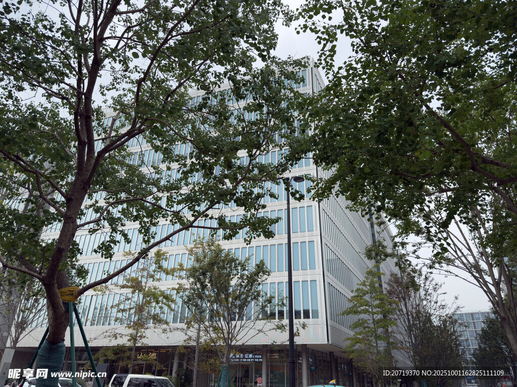 城市中树木掩映的高楼