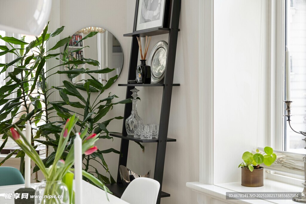 室内绿植装饰的温馨角落