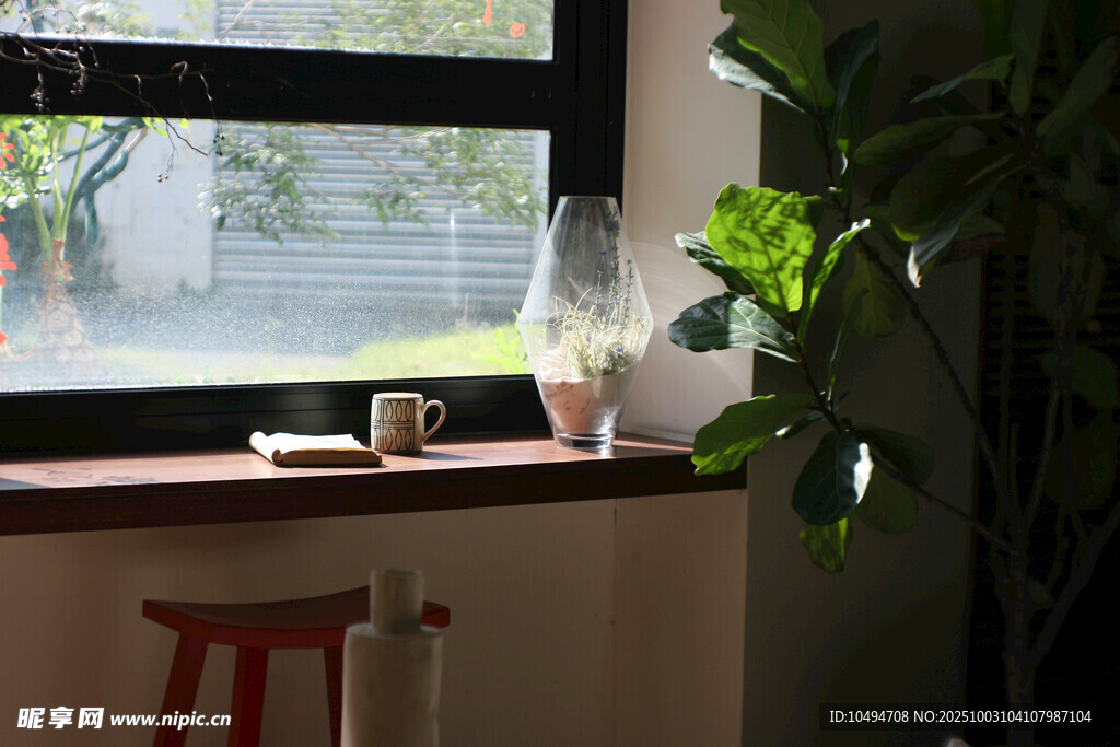 窗边绿植小景