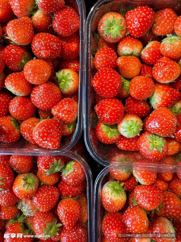 新鲜草莓整齐摆放