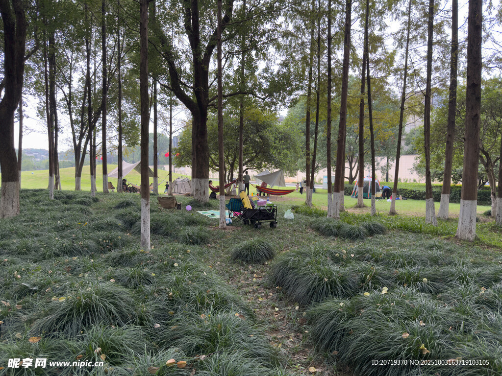 林间小道上的休闲场景