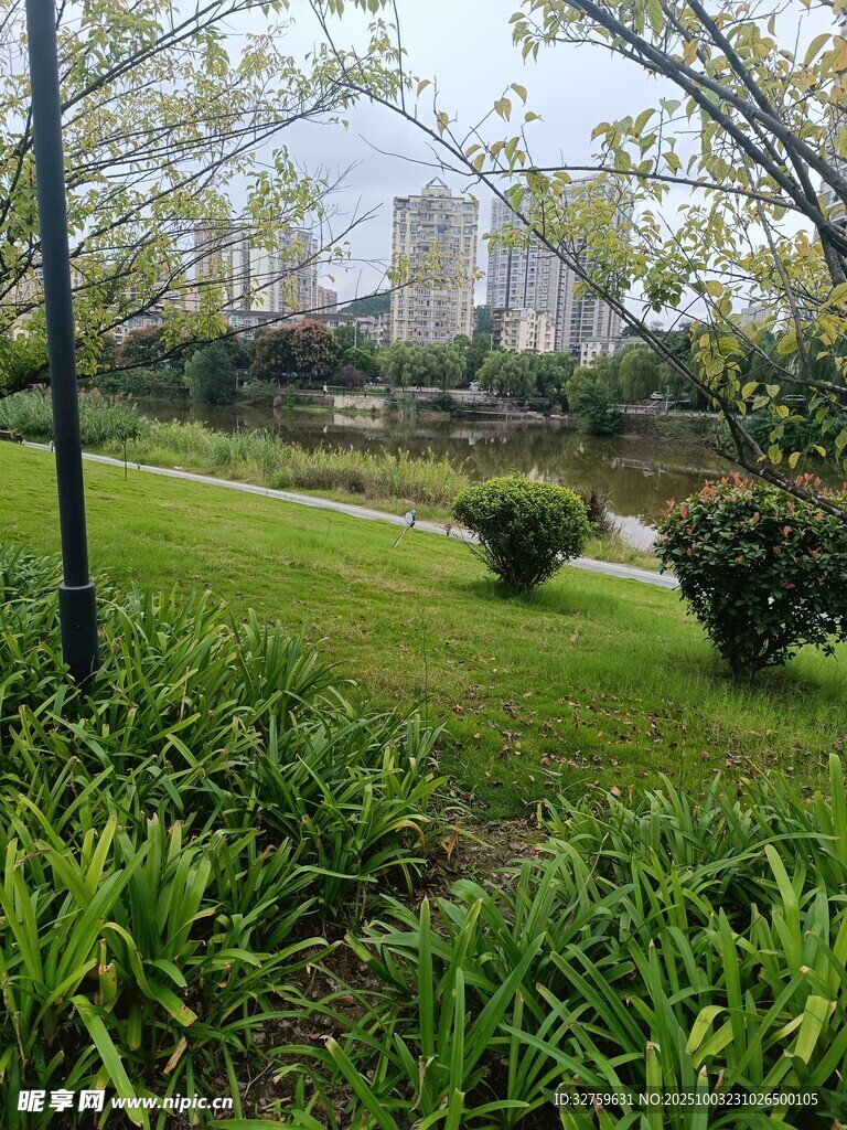 绿意盎然的庭院景观