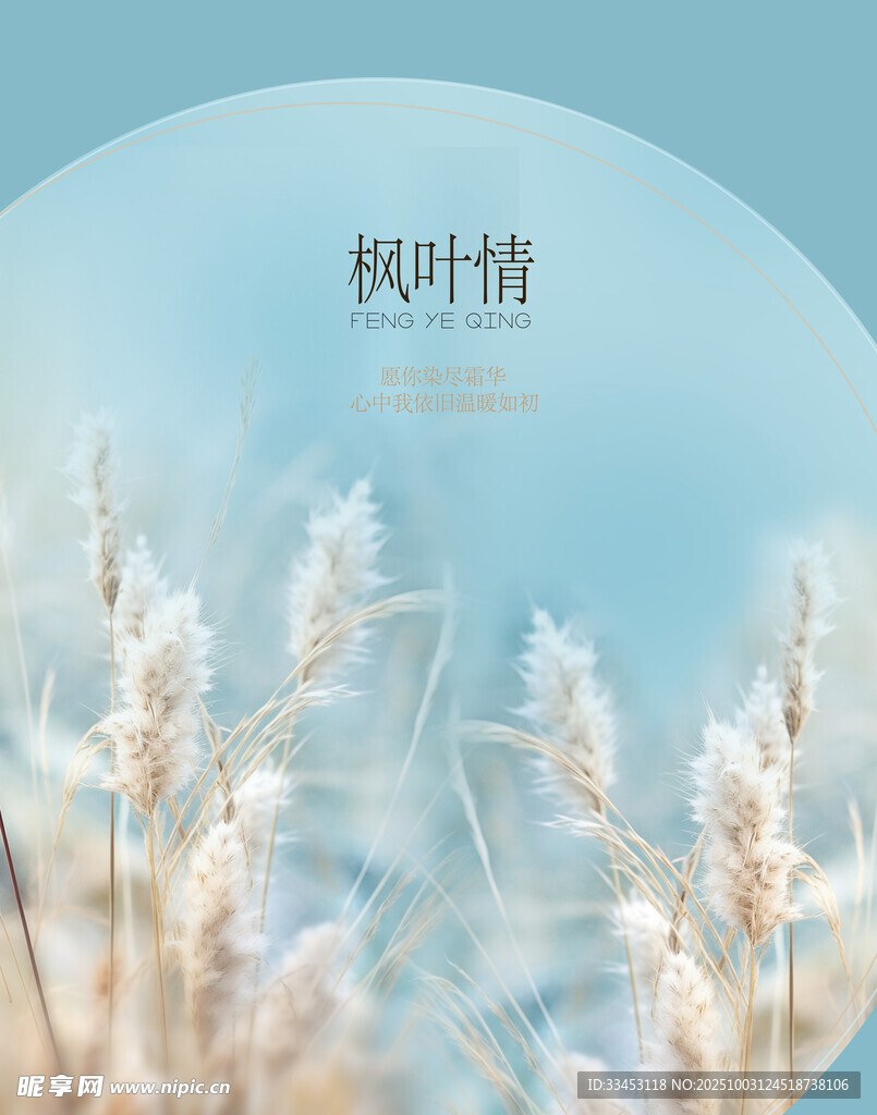 秋日芦苇映蓝天