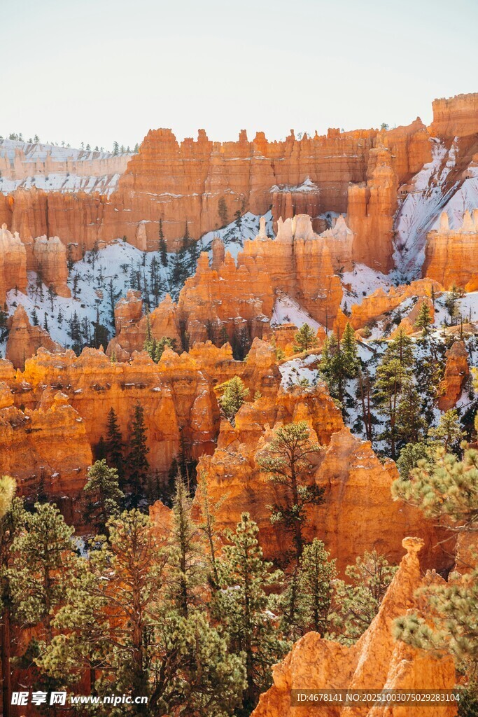 布莱斯峡谷壮观橙色岩林