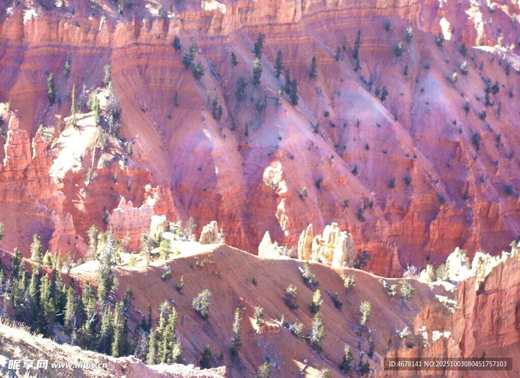 布莱斯峡谷壮丽岩石景观