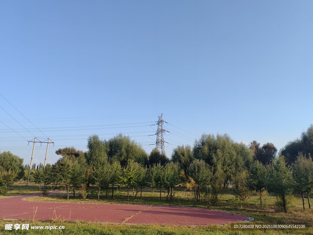 户外绿树环绕的开阔场地