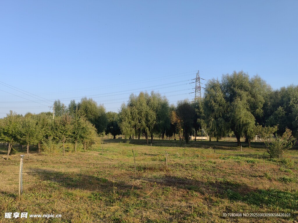 田野风光绿树环绕的景致