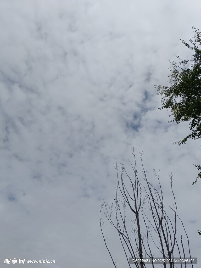 天空中飘着稀疏云朵