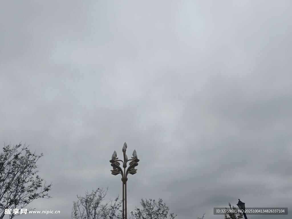 阴天中的路灯与树木