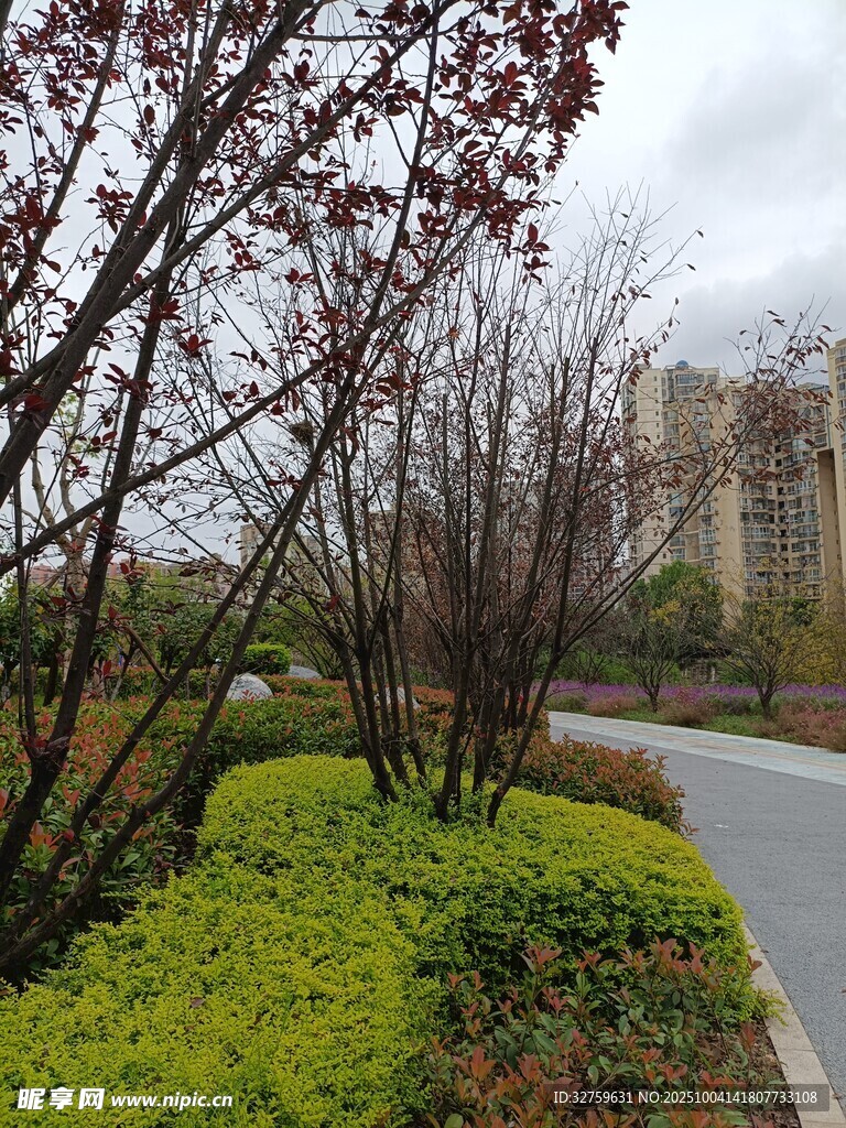 城郊小路旁的绿植景致