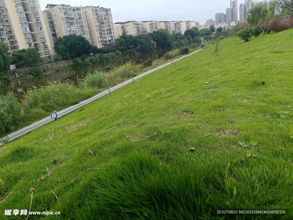城市边的翠绿草地风景