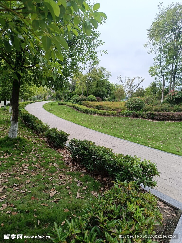 蜿蜒小径旁的绿意景致