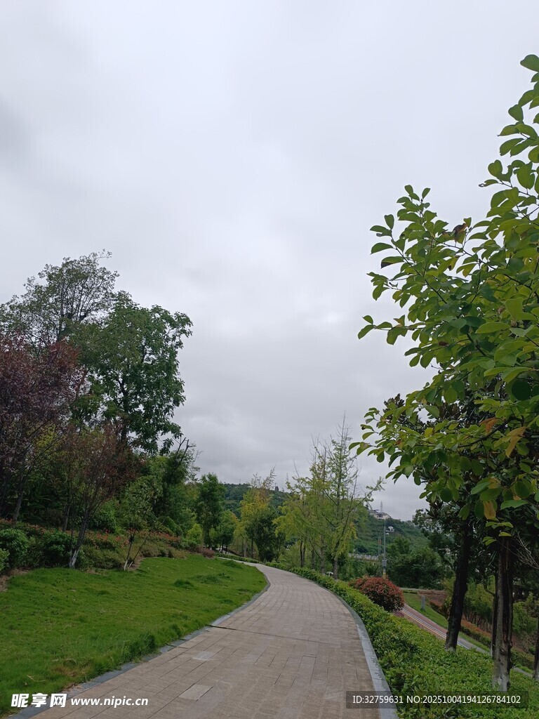 蜿蜒小路旁的绿意景致