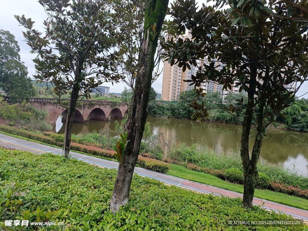 湖畔绿树成荫的宁静景致