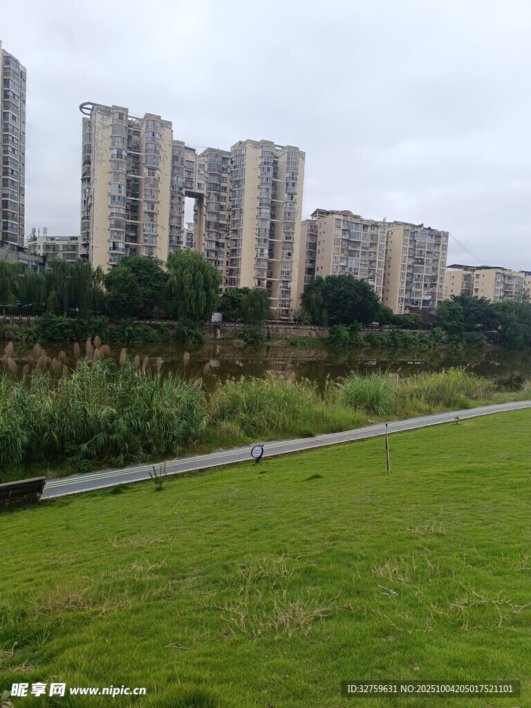 城市绿地旁的高楼景观