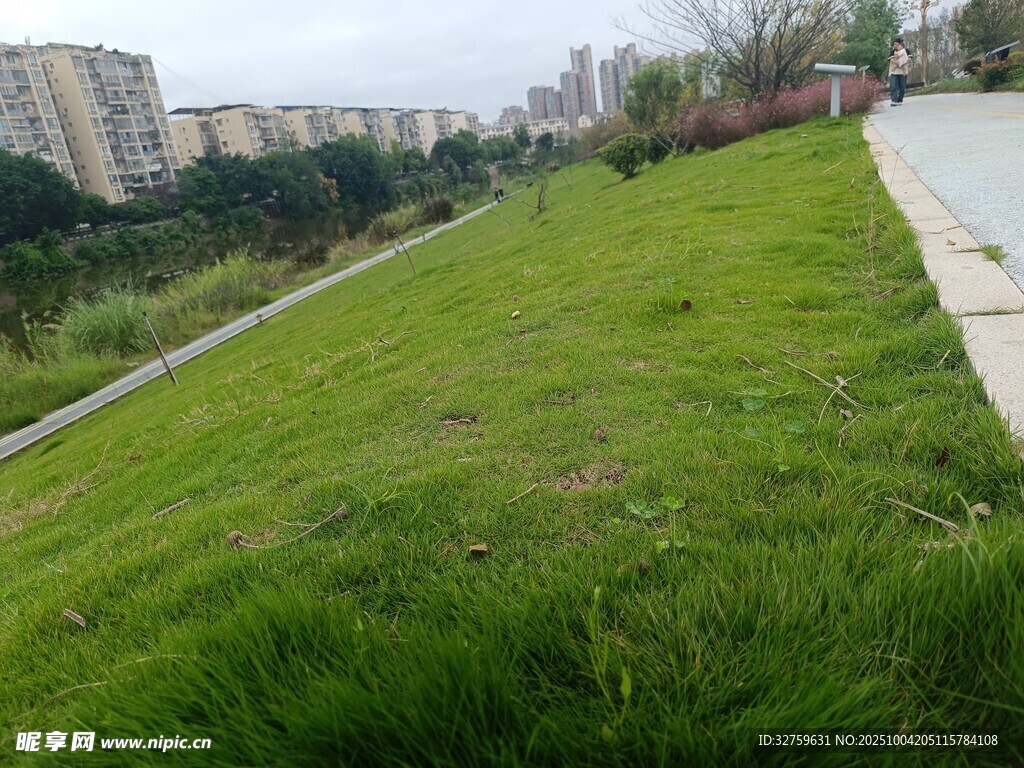 城市边的翠绿草地景观