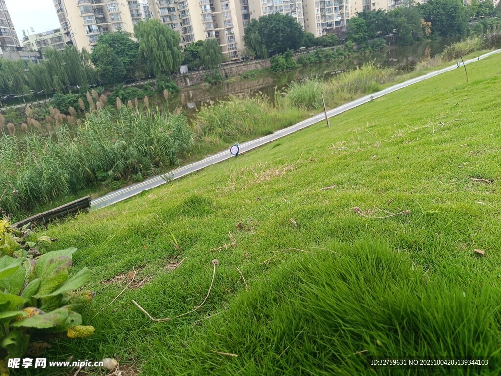 城市中的绿意草地景观