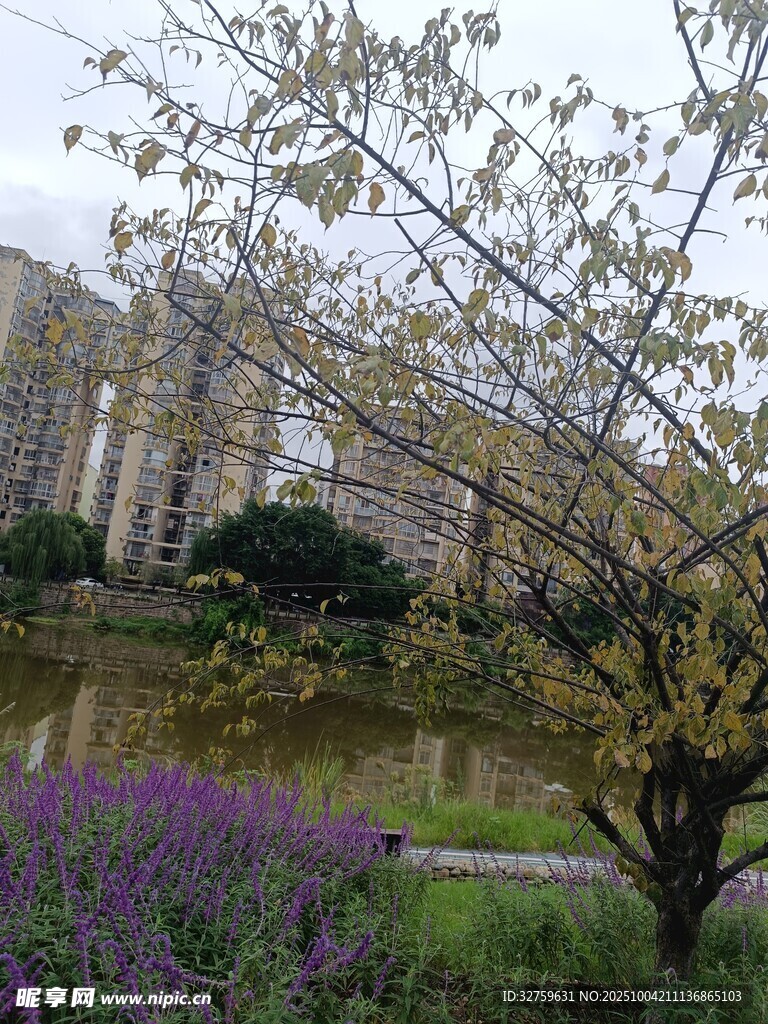 湖畔繁花绿树的春日景致