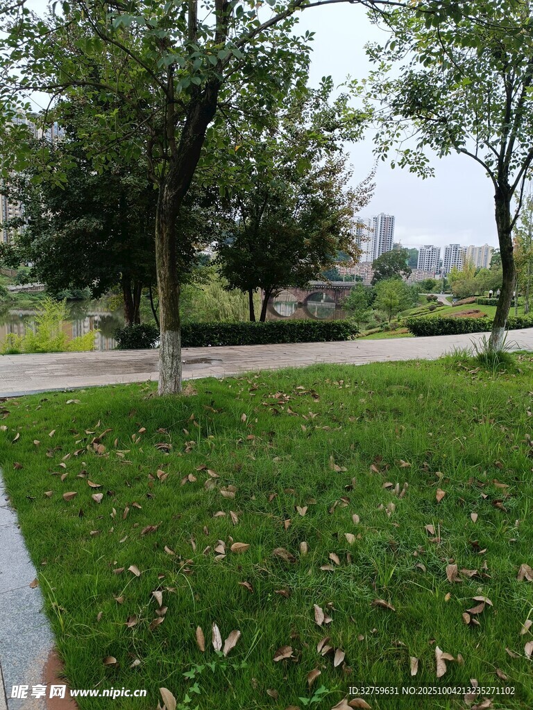 城市公园中的草地与树木