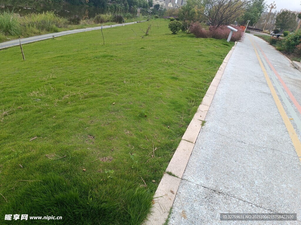 路边翠绿草坪风景